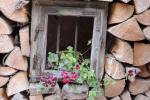 39_Im Bauerngarten von Frau Preisinger