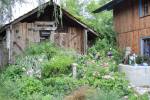 35_Im Bauerngarten von Frau Preisinger