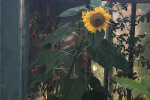 Schneider_Steffi_IMG_3934